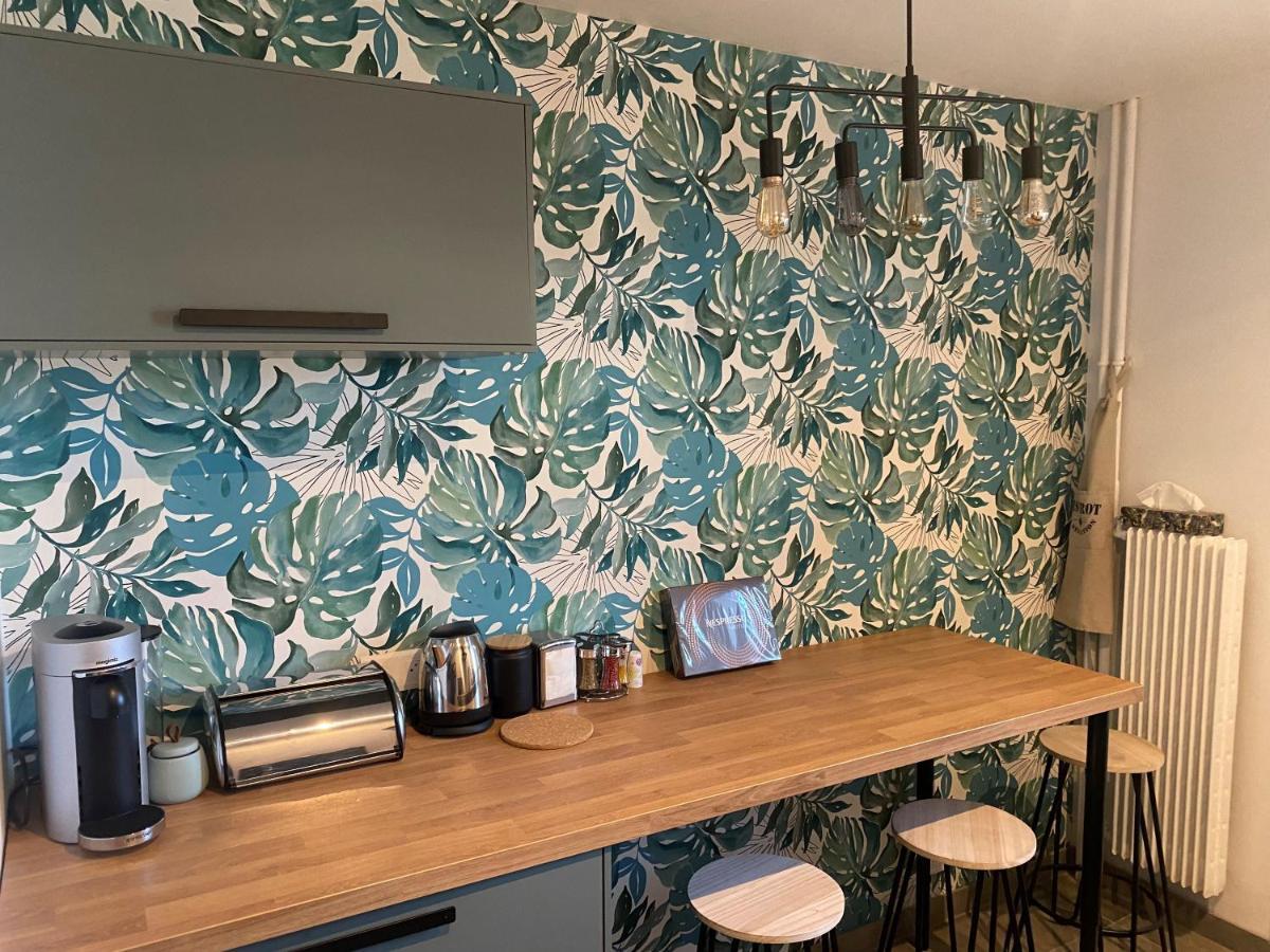 Magnifique Appartement Au Coeur De מולהאוס מראה חיצוני תמונה
