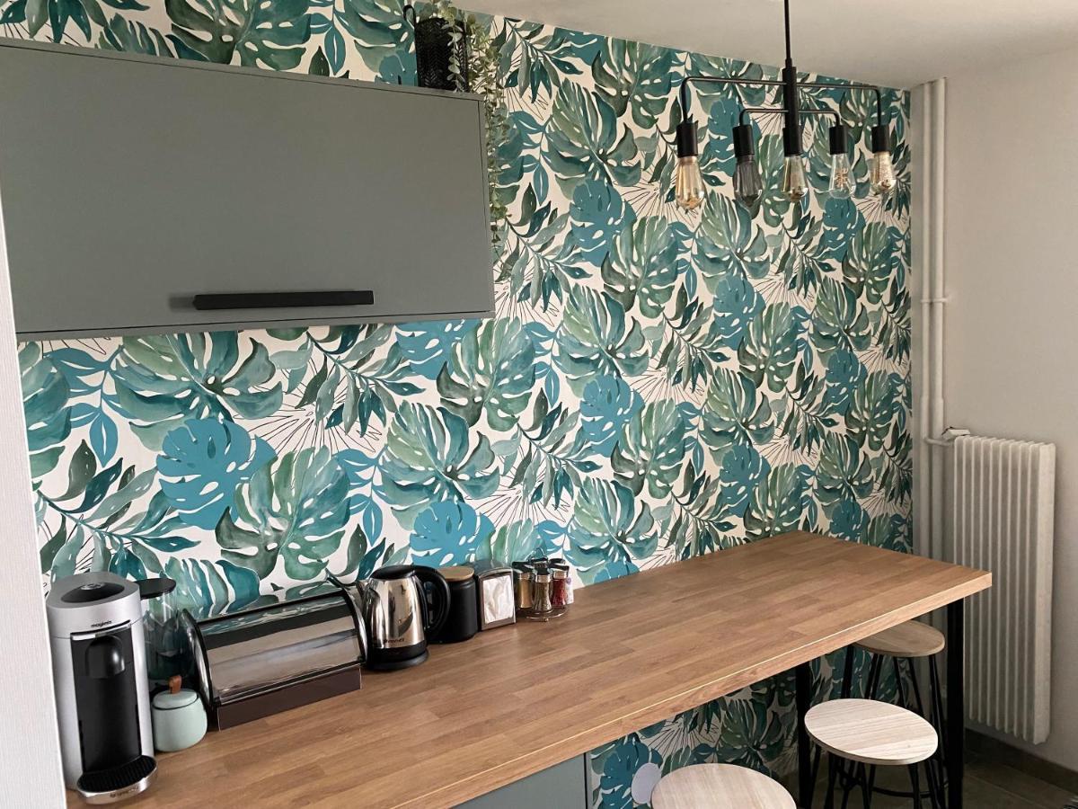 Magnifique Appartement Au Coeur De מולהאוס מראה חיצוני תמונה