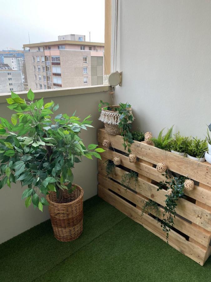 Magnifique Appartement Au Coeur De מולהאוס מראה חיצוני תמונה