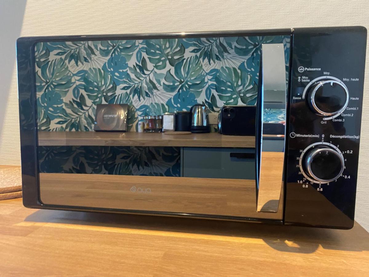 Magnifique Appartement Au Coeur De מולהאוס מראה חיצוני תמונה